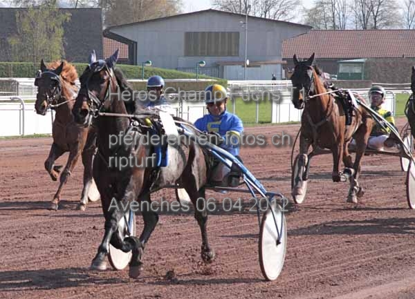 Heros Champ Fuchs T1 prot